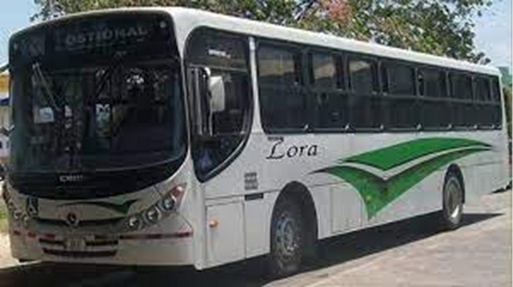 Buses de Santa Cruz a San Juanillo